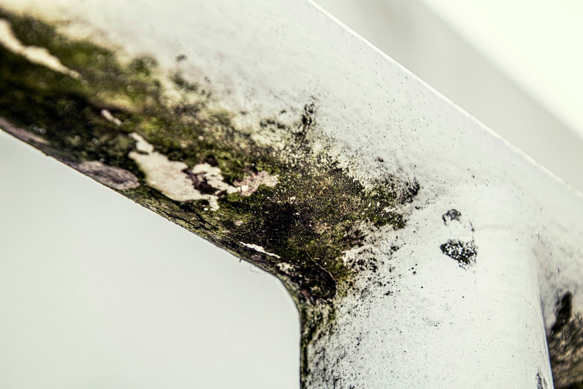 Condensation and Mould: Why Landlords Can’t Afford to Ignore Awaab’s Law